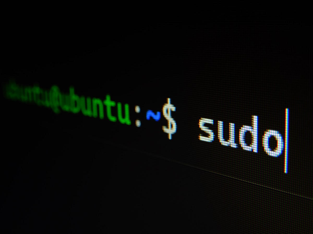 Leveraging Custom RISC-V Instructions for Domain-Specific Accelerators