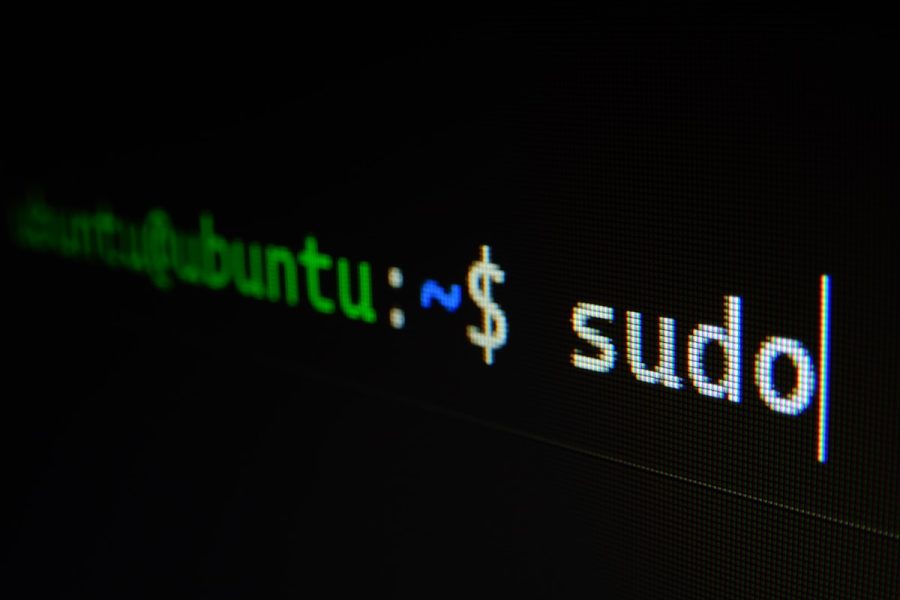 Leveraging Custom RISC-V Instructions for Domain-Specific Accelerators
